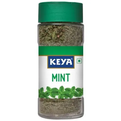 Picture of Keya Mint Masala 7g
